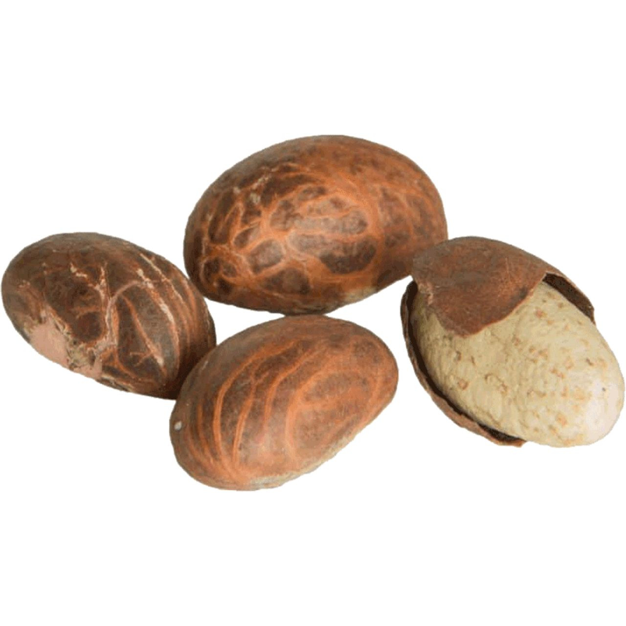 BITTER COLA (Nigeria) - Tropical Engros - Bulk per 1kg